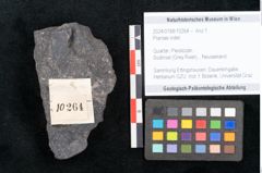 Foto (Objekt + Etikett) von Plantae indet.  (NHMW-GEO-2024-0188-10264)